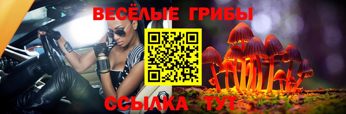 купить   Псилоцибиновые грибы Psilocybe  Вход с VPN  Мирный  Галлюциногенные грибы прущие грибы 