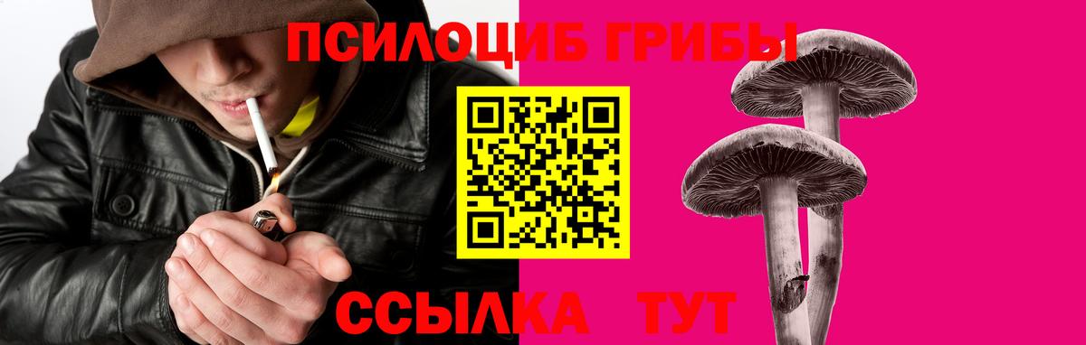Галлюциногенные грибы мицелий Мирный